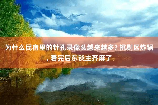 为什么民宿里的针孔录像头越来越多? 挑剔区炸锅, 看完后东谈主齐麻了