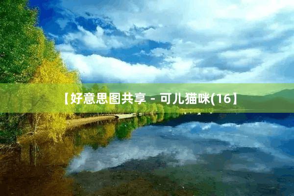 【好意思图共享 - 可儿猫咪(16】