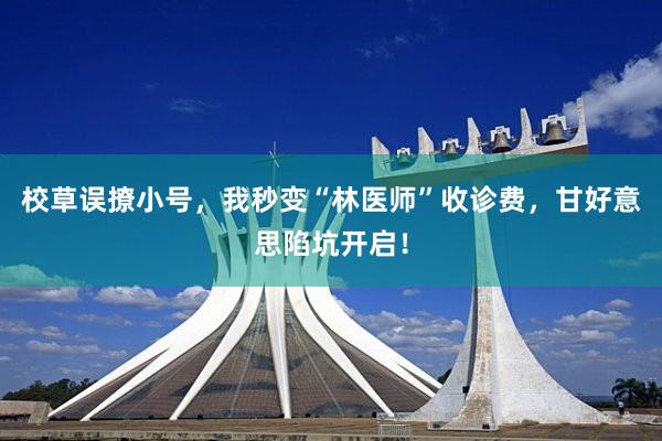 校草误撩小号，我秒变“林医师”收诊费，甘好意思陷坑开启！
