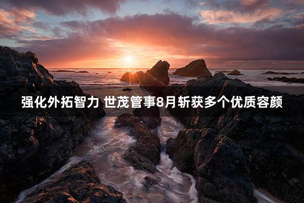 强化外拓智力 世茂管事8月斩获多个优质容颜