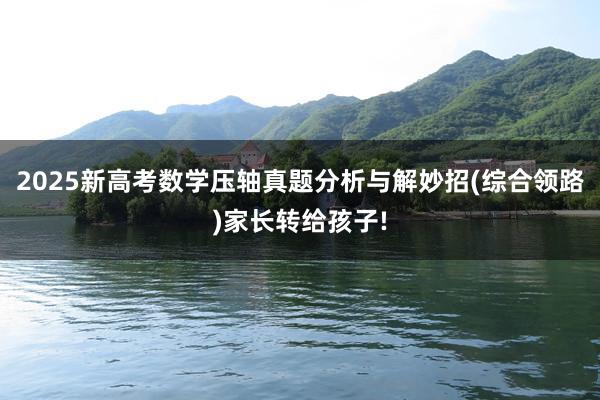 2025新高考数学压轴真题分析与解妙招(综合领路)家长转给孩子!