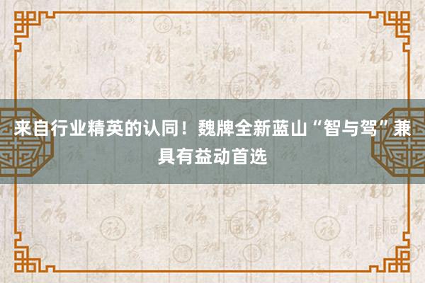 来自行业精英的认同！魏牌全新蓝山“智与驾”兼具有益动首选