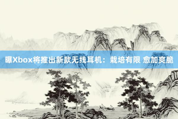曝Xbox将推出新款无线耳机：栽培有限 愈加爽脆