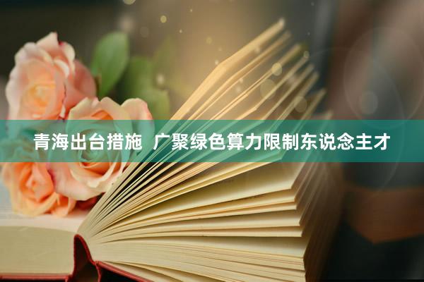 青海出台措施  广聚绿色算力限制东说念主才